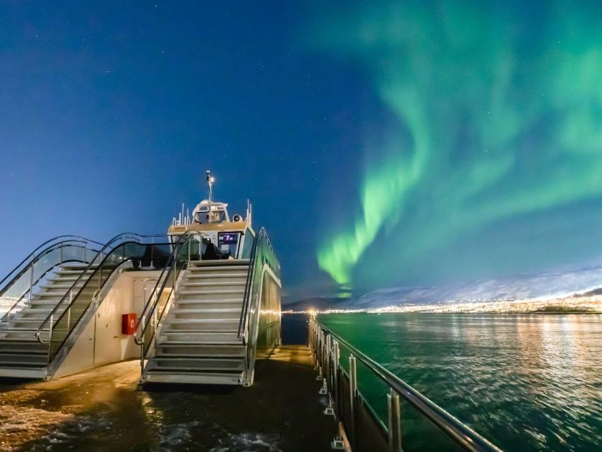 Tromsø: Aurora Dinner Cruise by Hybrid-Electric Catamaran - Key things I’d pay attention to before you go