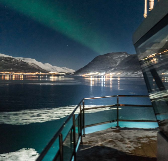 Tromsø: Aurora Dinner Cruise by Hybrid-Electric Catamaran - Dessert and the aurora deck window: why timing matters after you eat
