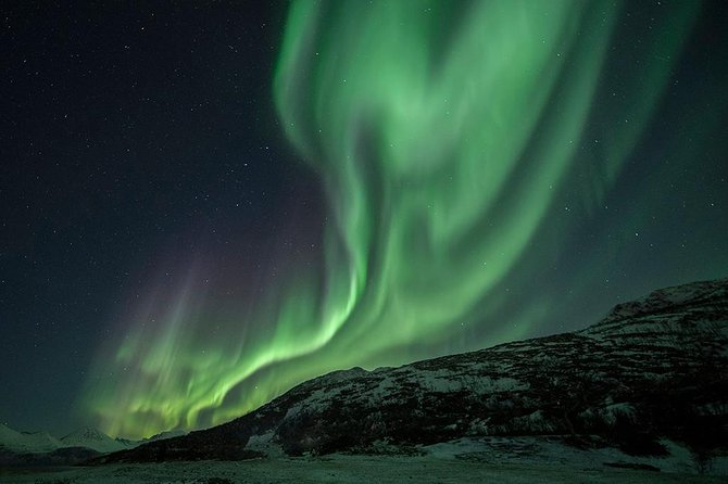 Tromso Aurora Hunt with Bonfire, Soup, Winter Gear & Transfers - Photo Tips and Email Souvenir Pictures, What You Can Expect to Keep