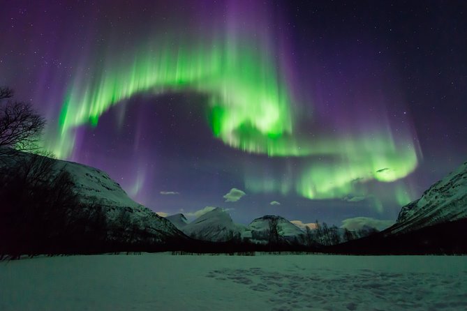 Tromso Aurora Hunt with Bonfire, Soup, Winter Gear & Transfers - Transfers and Winter Timing, Pickup Points and Getting Back Warm