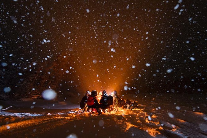 Tromso Aurora Hunt with Bonfire, Soup, Winter Gear & Transfers - Who This Tour Fits Best, and Who Might Want a Different Style