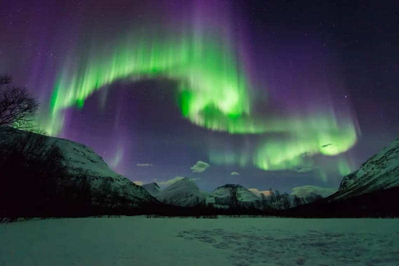 Tromsø: Aurora Hunt with Citizen Science - Key things I’d highlight before you go