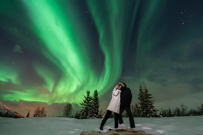 Tromsø: Aurora Magic Northern Lights Tour with Photos - Should You Book This Northern Lights Tour?