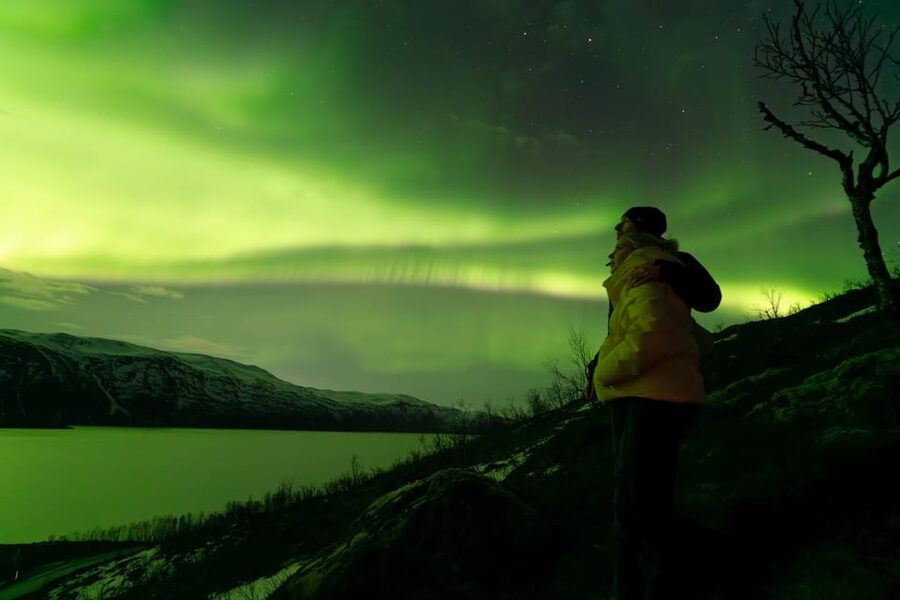 Tromsø: Aurora Quest Minibus Adventure - Key Things to Know Before You Go