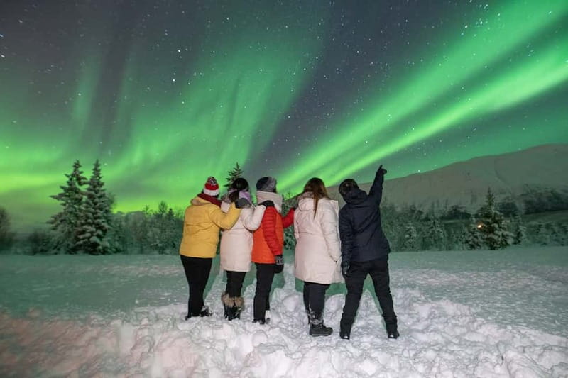 Tromsø: Aurora Safari Chase by big bus with Camp meal - Key points to know before you go