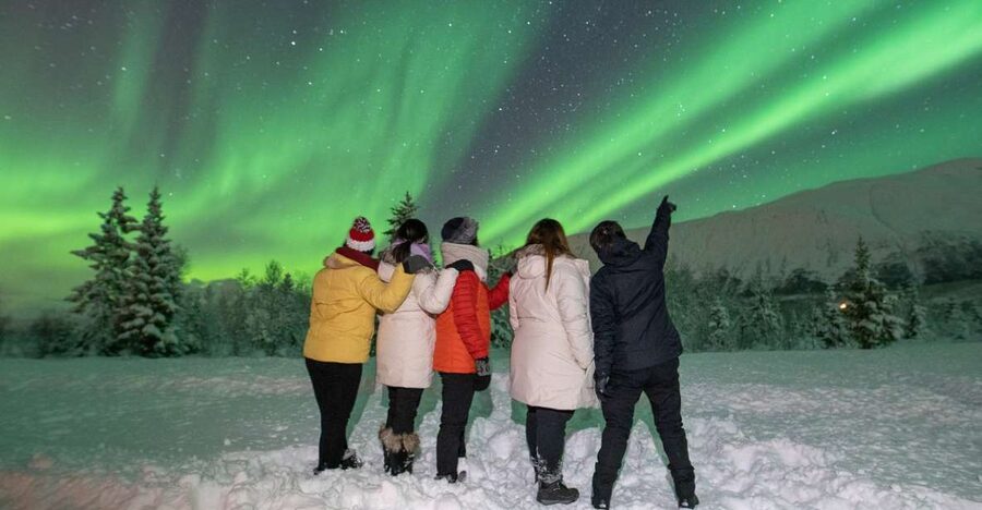 Tromsø: Aurora Safari Chase by big bus with Camp meal - Photo help you can actually use, plus what photos you take home