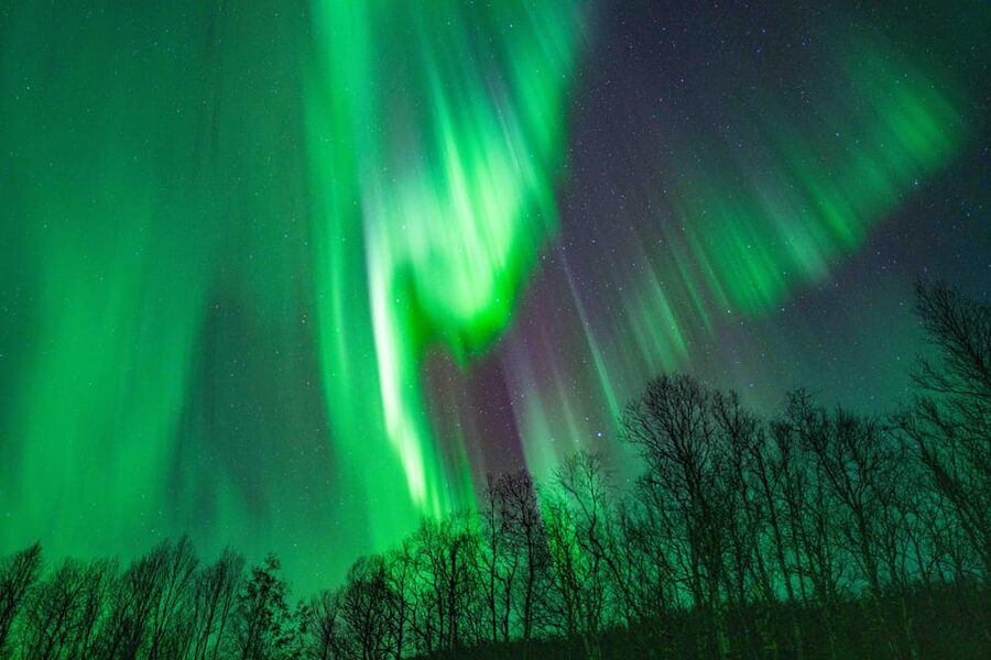 Tromsø: Aurora Tour with Photos, Campfire and Arctic Food - Quick reality check: Your guide team and the vibe