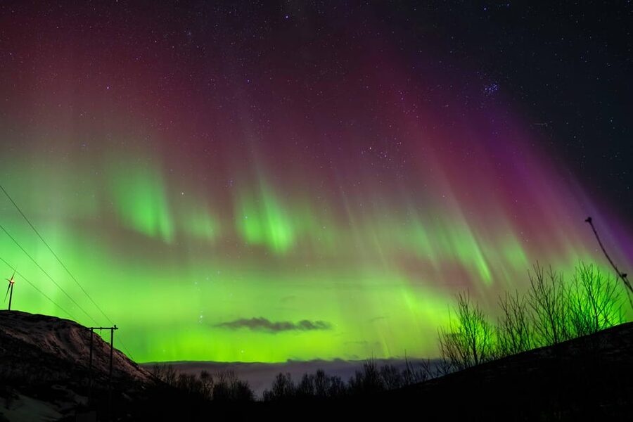 Tromsø: Aurora Tour with Photos, Campfire and Arctic Food - Aurora Photos: Photo Stops, Help in the Field, and What You Get
