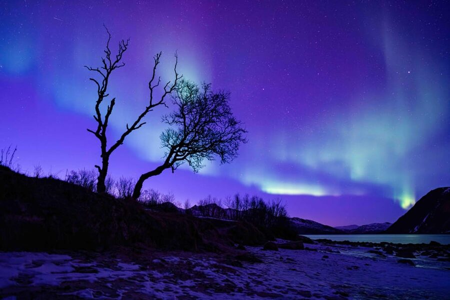Tromsø: Aurora Tour with Photos, Campfire and Arctic Food - Who Should Book This Aurora Tour in Tromsø
