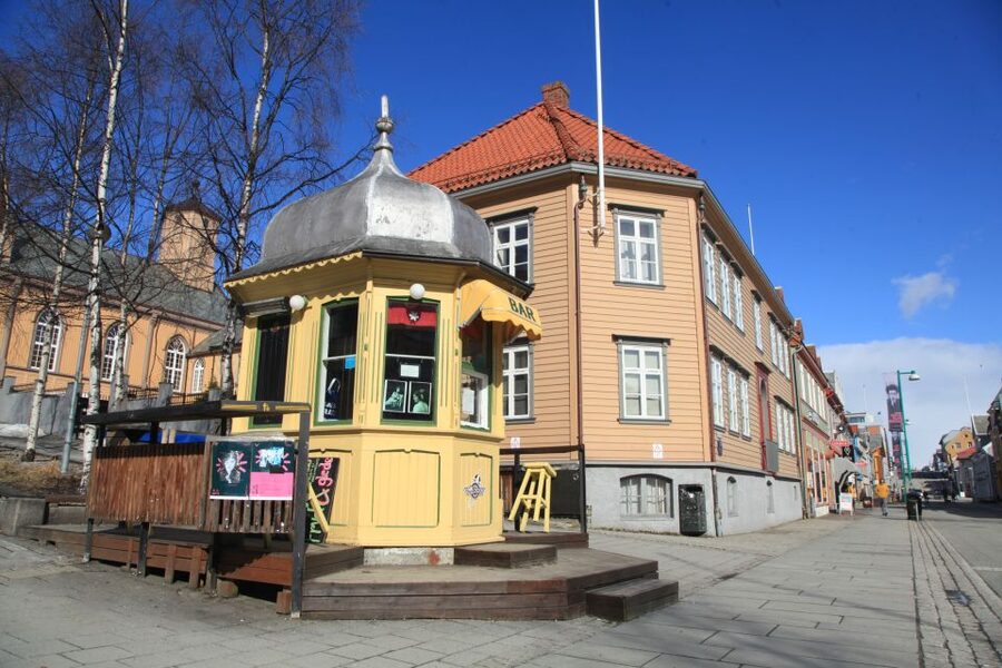 Tromsø: City Walk & Polar Museum (Private or Shared) - Arctic Cathedral area: what to look for beyond the photo