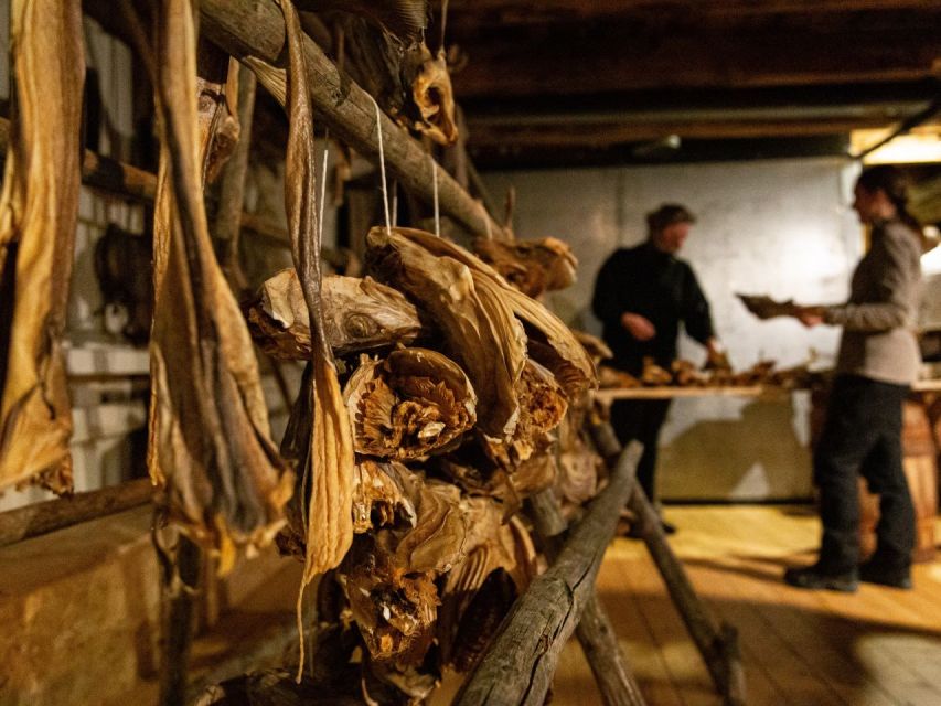 Tromso: Cod-Tasting Tour with Full Steam Museum Entry - Price and Value: Is $68 a Good Deal?