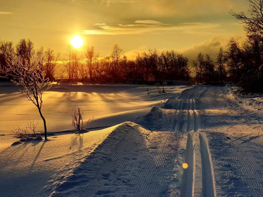 Tromsø: Cross Country Guided Skiing Course - Stop 1 on Tromsøya: photo time, wildlife watching, and “okay, I get it”