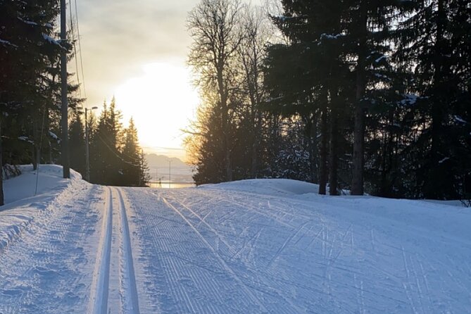 Tromsø Cross-Country Ski Adventure - Key Highlights to Know Before You Go