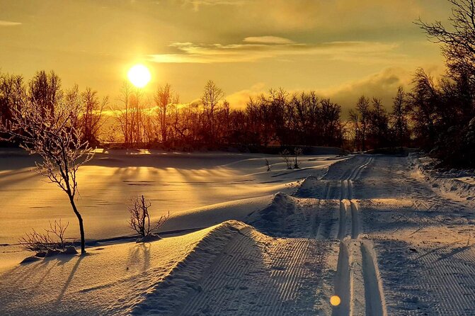 Tromsø Cross-Country Ski Adventure - Where You Meet, What Gear You Get, and How the Session Flows