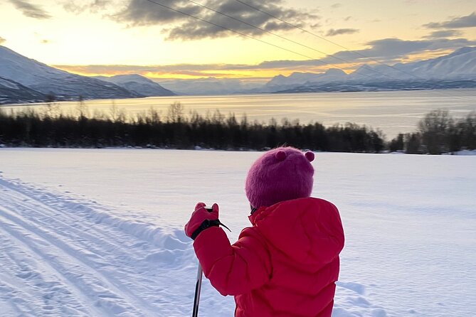 Tromsø Cross-Country Ski Adventure - The Warm Break: Norwegian Sweet Treats, a Toddy, and a Reset Button