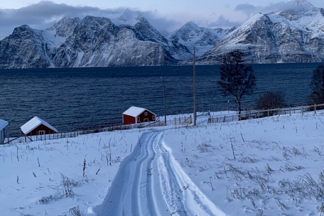 Tromsø Cross-Country Ski Adventure - Group Size Under 10: Getting Help Without Feeling Hovered