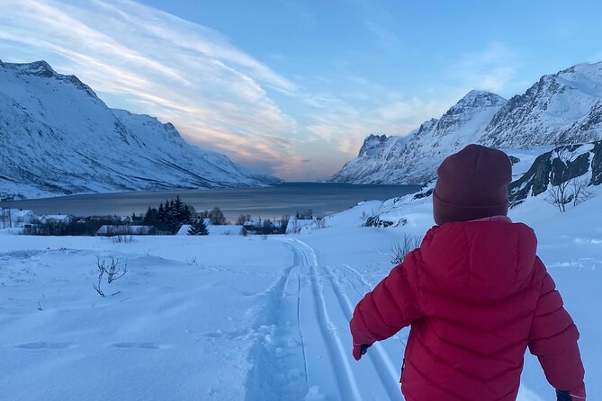 Tromsø Cross-Country Ski Adventure - Price and Value: What You’re Actually Buying for $128-ish
