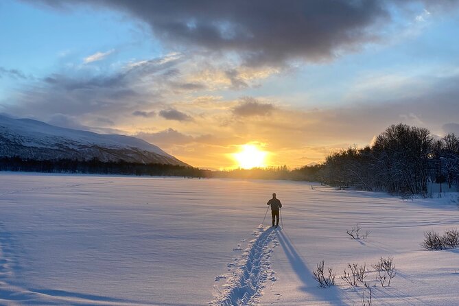Tromsø Cross-Country Ski Adventure - Skiing Near Fjords, Mountains, and Forest: Why the Route Matters