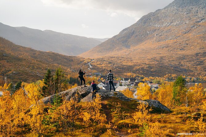 Tromsø: Day trip to the island of Sommarøy through the Fjords - Tromsø to Sommarøy: why this drive feels worth it