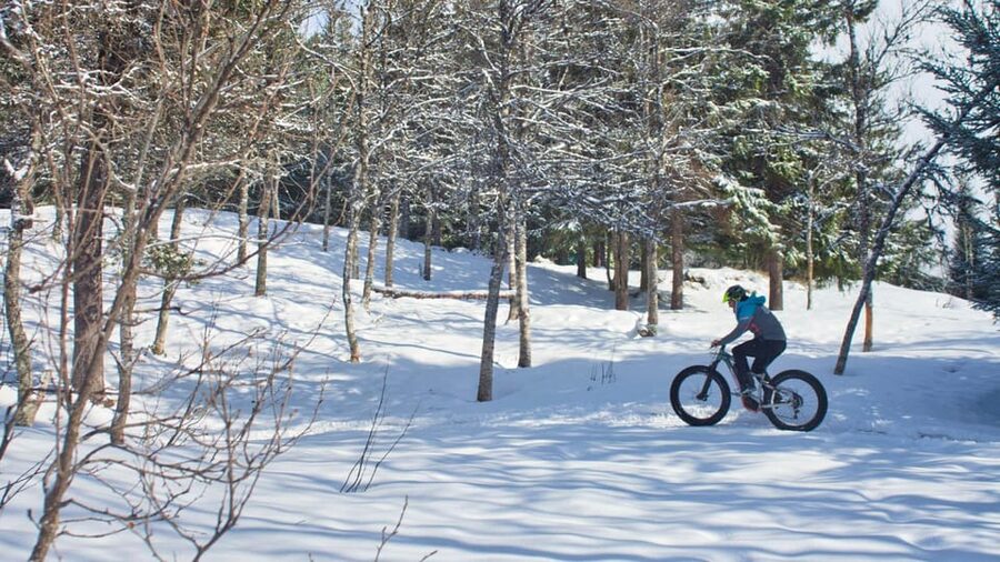 Tromsø: Electric fatbike trip on winter paths - Key highlights you will care about