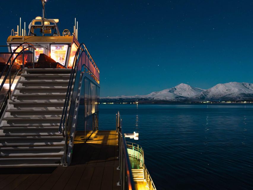 Tromsø: Electric Northern Lights Cruise - Quick Practical Advice Before You Go