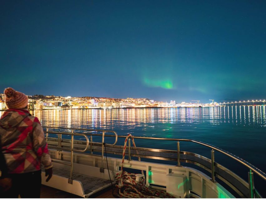 Tromsø: Electric Northern Lights Cruise - The Fjord Views and Tromsø From the Water
