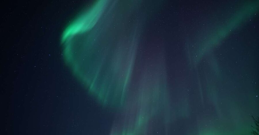 Tromsø: Evening Aurora Cruise (dinner optional) - Key things you’ll notice right away