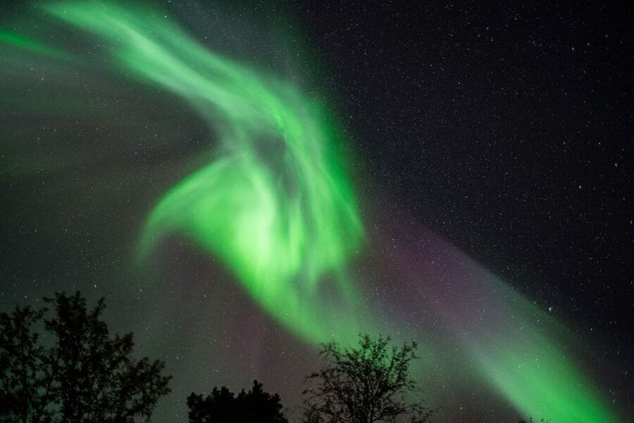 Tromsø: Evening Aurora Cruise (dinner optional) - The hunt for the green lady: how the crew keeps searching