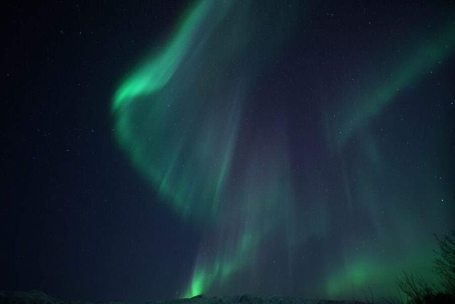 Tromsø: Evening Aurora Cruise (dinner optional) - Dinner option: the three-course meal and the tradeoffs to know