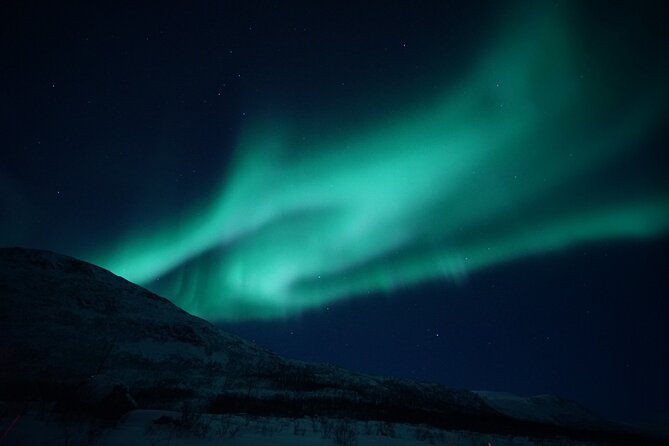 Tromsø: Evening Cruise with Northern Lights Opportunity - Key highlights you will feel on this cruise