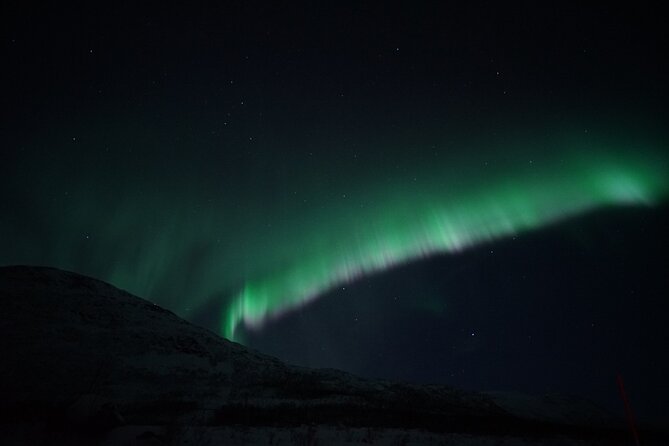 Tromsø: Evening Cruise with Northern Lights Opportunity - What you get on board: thermal suits, hot drinks, and comfort reality