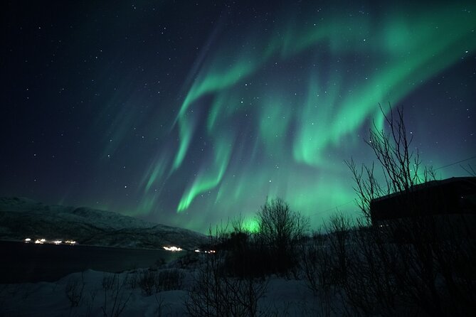 Tromsø: Evening Cruise with Northern Lights Opportunity - Northern Lights reality check: no guarantee, but better guidance