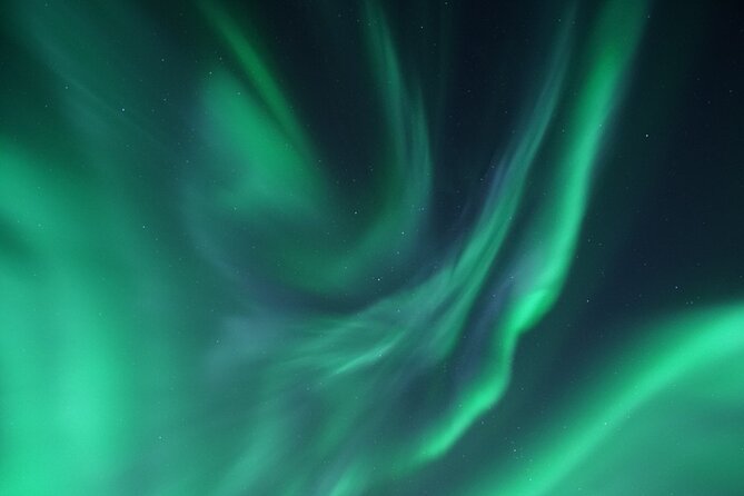 Tromsø: Evening Cruise with Northern Lights Opportunity - Price and value: what $128.52 really buys you