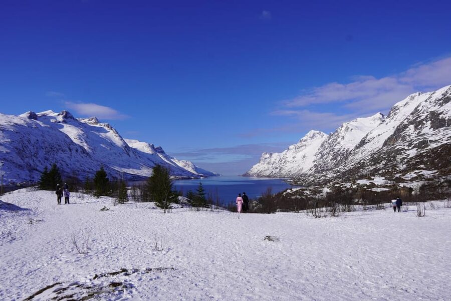 Tromsø: Exclusive Fjord Adventure by Bus - Meeting Point and Start: Fr Nansens plass 1A to the First Big Views