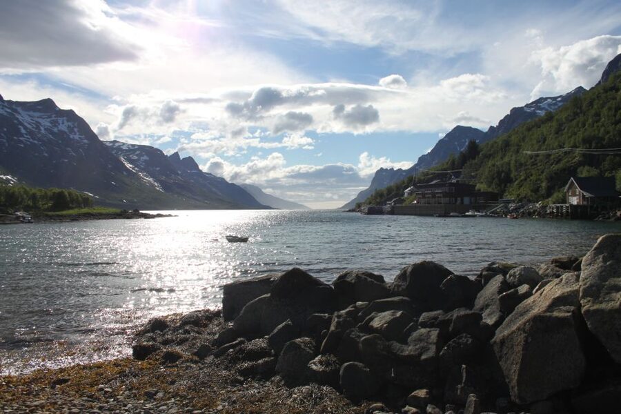 Tromsø: Exclusive Fjord Adventure by Bus - Price and Value: Is $68 a Good Deal?