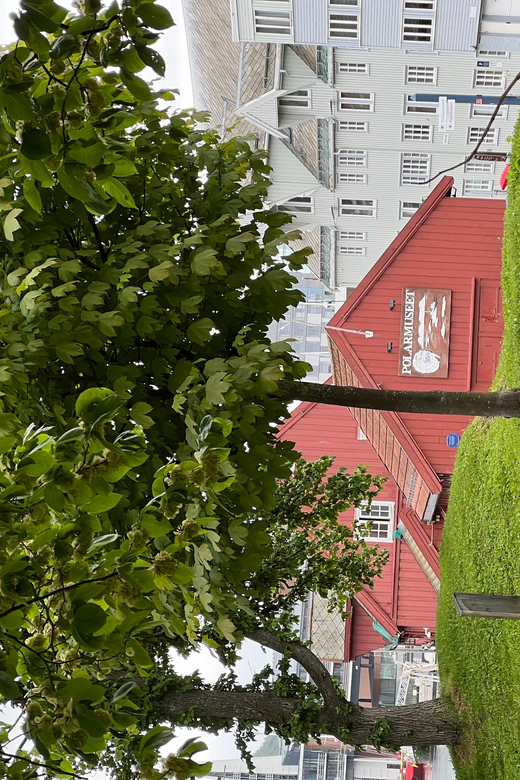 TROMSØ: Explore The City And a Guided Tour Of PolarMuseum! - Port area and Skansen: where the tour shifts toward the polar theme