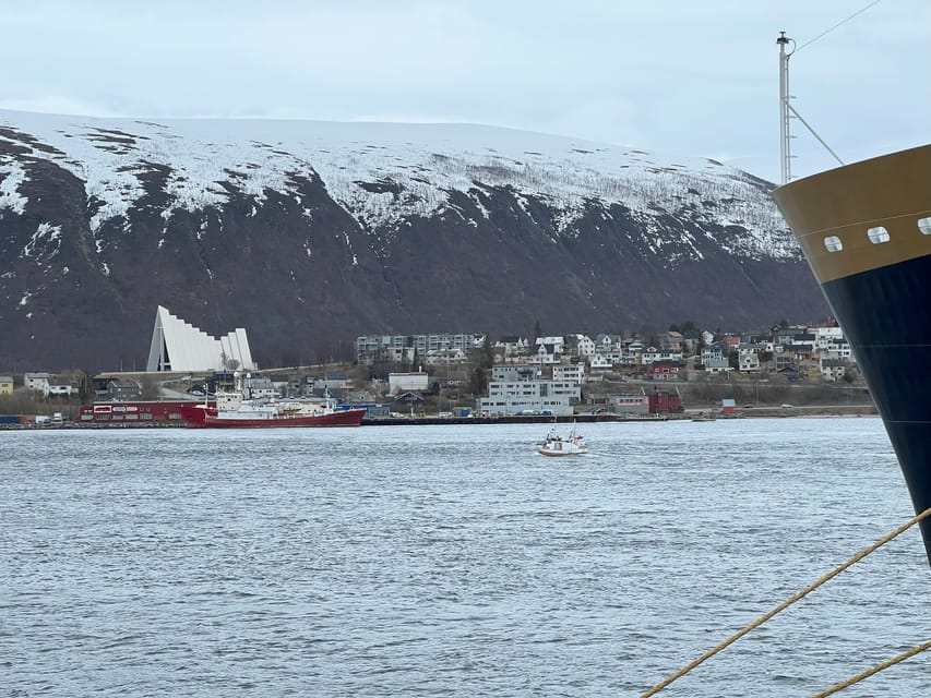 TROMSØ: Explore The City And a Guided Tour Of PolarMuseum! - Polar Museum time: Roald Amundsen, fishing traditions, and polar expedition history