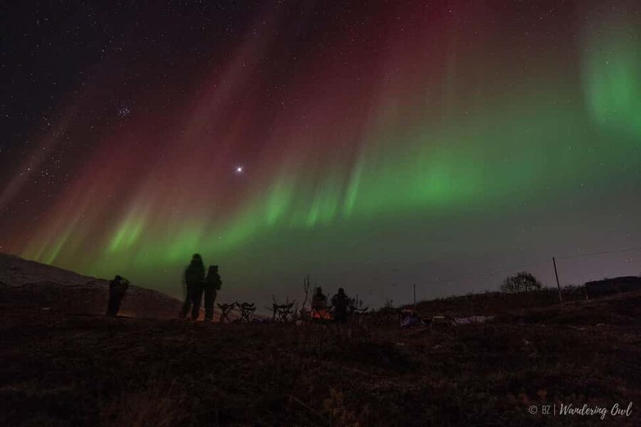 Tromsø: Express Aurora Hunt - Key things I’d pack into your plan