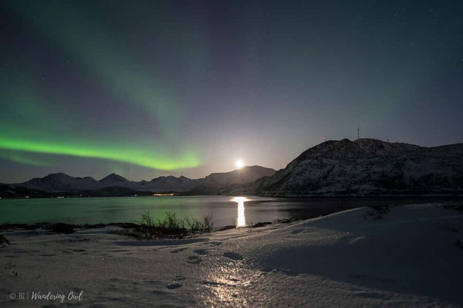 Tromsø: Express Aurora Hunt - The 4-hour aurora chase: staying close to Tromsø for a midnight return