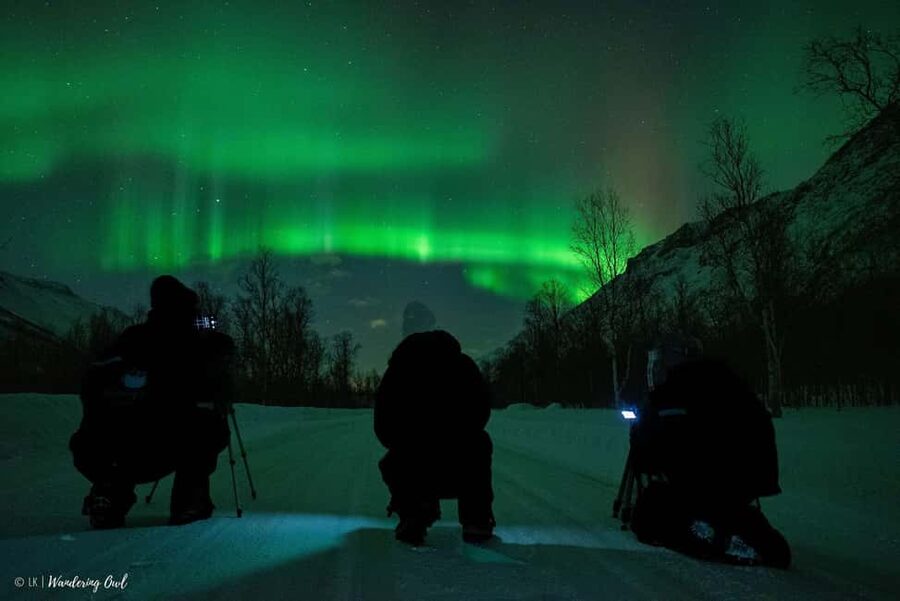 Tromsø: Express Aurora Hunt - Price and value: what $196 buys you in Tromsø winter
