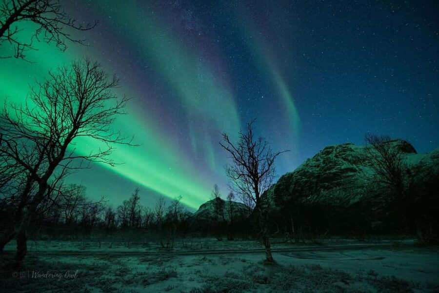 Tromsø: Express Aurora Hunt - Who should book this aurora hunt, and who should skip it
