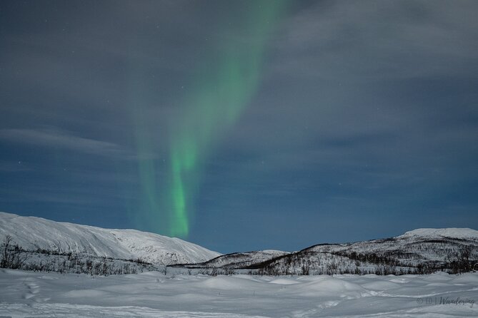 Tromsø: Express Aurora Hunt with Wandering Owl - Hot Drinks, Ponchos, and What Cold Weather Gear You Still Need