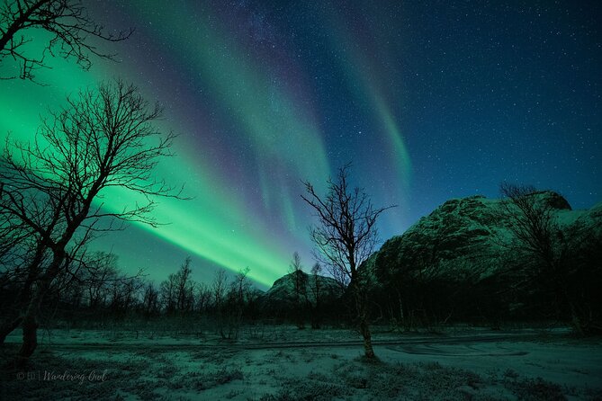 Tromsø: Express Aurora Hunt with Wandering Owl - When You See Auroras vs When You Just Catch a Glimpse