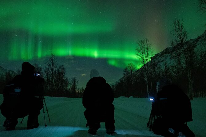 Tromsø: Express Aurora Hunt with Wandering Owl - Getting on the Van: Scandic Ishavshotel Pickup and Small Groups