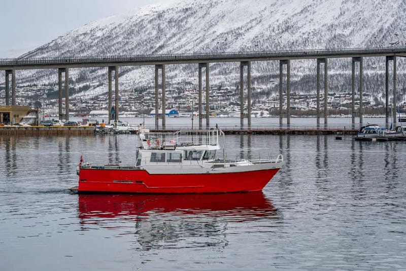 Tromsø: Fishing Sea Safari - Why This Tromsø Sea Safari Fits Small-Group Fishing