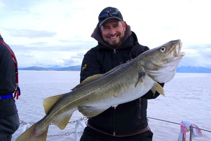 Tromsø: Fishing Sea Safari - Wildlife Spotting and Those Weird Tromsø Stories You Hear at Sea