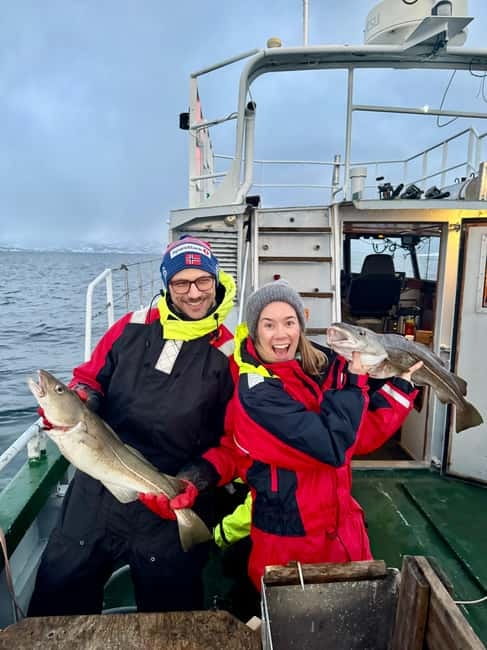 Tromsø: Fishing Sea Safari - From Killengreens gate 7-11 to the Barents Sea: What Happens in 3 Hours