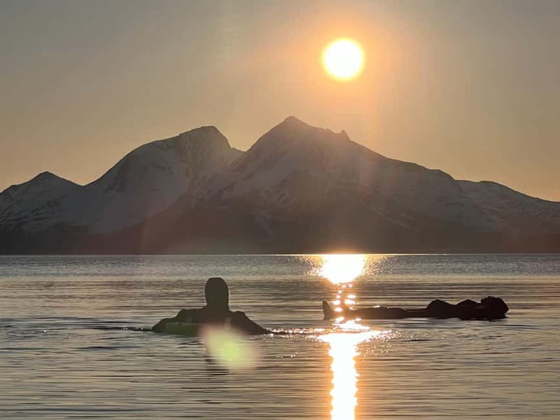 Tromsø: Fjord and Floating Safari, Arctic Floating - Price and Value for a 3.5-Hour Arctic Adventure