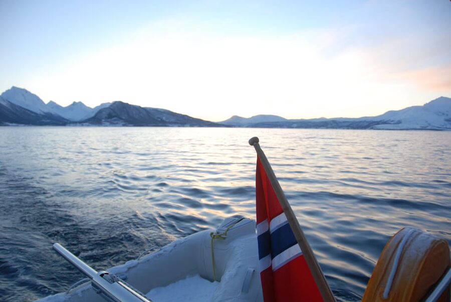 Tromsø: Fjord and Islands Luxury Catamaran Cruise - Price and Value: Is $208 Worth It?