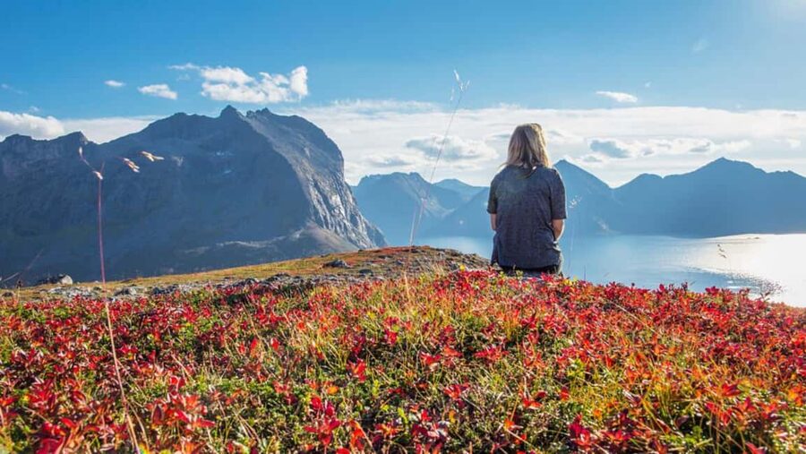 Tromso: Fjord Arctic Adventure Expedition - A Five-Hour Fjord Road Trip From Tromsø